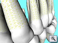 3D